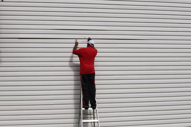 Best Siding Painting and Refinishing  in East Mountain, TX